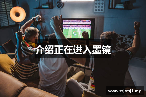 介绍正在进入墨镜